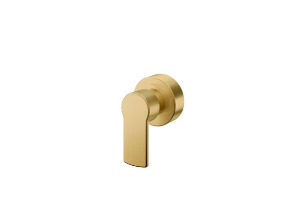 Acabamento Registro Base Deca 1/2", 3/4" e 1" Argon Ouro Escovado Docol 90008738072