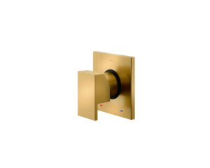Acabamento Monocomando Base Deca para Chuveiro e Ducha Higienica New Edge Ouro Escovado Docol